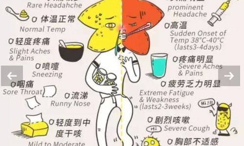 中药蒲公英功效与作用网 - 网站提供中药蒲公英的功效与作用及禁忌小常识、中药蒲公英的功效与作用是什么