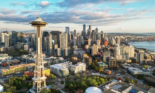 中药蒲公英功效与作用网 - 网站提供中药蒲公英的功效与作用及禁忌小常识、中药蒲公英的功效与作用是什么