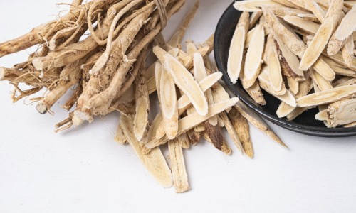 中药蒲公英的功效与作用及禁忌-中药蒲公英功效与作用网 - 网站提供中药蒲公英的功效与作用及禁忌小常识、中药蒲公英的功效与作用是什么
